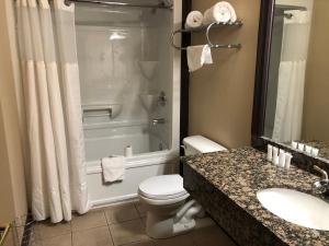 a bathroom with a toilet and a shower and a sink at Monastery Hotel in St. John's