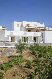 a large white house on top of a hill at Jenny's Summer Houses in Platis Yialos Mykonos