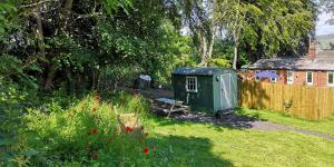 un jardín con un cobertizo y un banco en un patio en Wooler Youth Hostel and Shepherds Huts, en Wooler