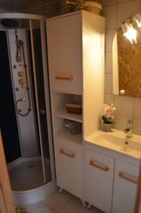 y baño con ducha, lavabo y espejo. en maison bourguignonne Le Val Thibault en Buncey