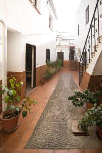 un patio de un edificio con macetas en Apartamento La Muralla & Casco histórico, en Córdoba