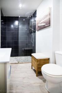y baño con aseo, lavabo y ducha. en Apartamento La Muralla & Casco histórico, en Córdoba