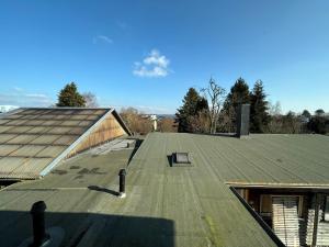 um telhado verde de um edifício com uma janela em Haus Bade em Stralsund