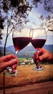 two people holding up glasses of red wine at Pousada Jardim Encantado - Suítes em Container na cidade do Cristo Protetor - Encantado RS in Encantado +33 photos