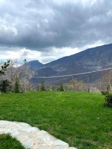 a field of green grass with mountains in the background at Guest House Laci in Tirana