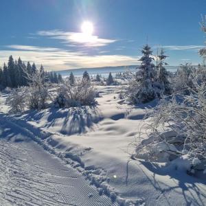 a snow covered field with trees and the sun at Logement contemporain vue lac in Grande Riviere