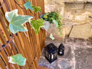 a plant in a pot on a wooden fence at CHIAVE DI VOLTA Lovely Guesthouse with Terrace in Varenna