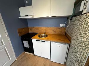 una pequeña cocina con fregadero y armarios blancos en Le Panorama-centre ville, en Niort