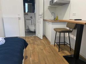 Küche/Küchenzeile in der Unterkunft Aparthotel Lenau