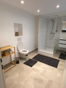 uma casa de banho com um chuveiro, um WC e tapetes em Zentrale Wohnung Gmunden Alte Bäckerei em Gmunden