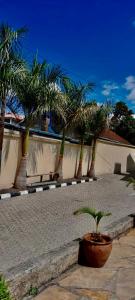 a group of palm trees in front of a building at Twiga Whitehouse Villas in Nakuru
