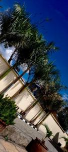 a palm tree in front of a building at Twiga Whitehouse Villas in Nakuru