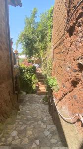 una pasarela de piedra con una pared de ladrillo y escaleras en Splendida villetta con giardino en Barbarano Romano
