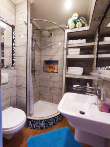een badkamer met een wastafel, een toilet en een douche bij M&R apartmani Rovinj in Rovinj