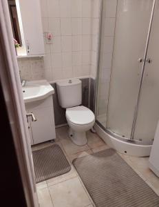 a bathroom with a toilet and a shower and a sink at B.A.A Sabiha Gökçen in Istanbul