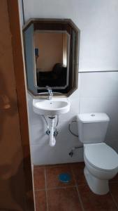 a bathroom with a toilet and a sink and a mirror at Estudio 2 Hacienda Torrepalma in Torrepalma