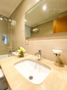baño con lavabo grande y espejo en Hotel Terrano Concepción en Concepción