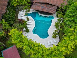 an overhead view of a swimming pool with lounge chairs and trees at Arenal Secret Gardens in Fortuna