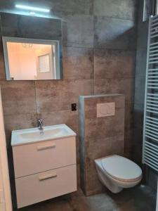 a bathroom with a toilet and a sink and a mirror at Natuurhuisje in Otterlo +8 photos