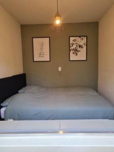 een slaapkamer met een bed en twee schilderijen aan de muur bij Natuurhuisje in Otterlo