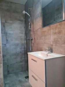 een badkamer met een douche en een wastafel en een douche bij Natuurhuisje in Otterlo