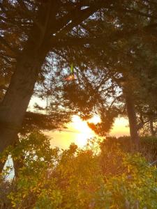 una puesta de sol a través de algunos árboles con la puesta de sol en el fondo en Troia Apartments, en Tróia