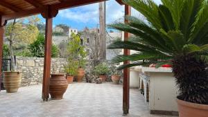 un patio con piante in vaso e un muro in pietra di Manousos Guest House a Heraklion