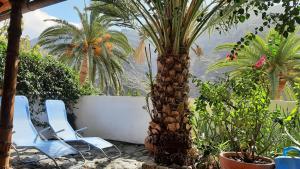 a palm tree and two chairs in a garden at casa limon, El Guro in Valle Gran Rey