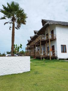 dom z palmą przed nim w obiekcie Sun Beach Chalés w mieście Luis Correia