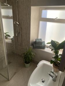 a bathroom with a shower and a sink with plants at The Cottage @ Burkedale House in Corrofin