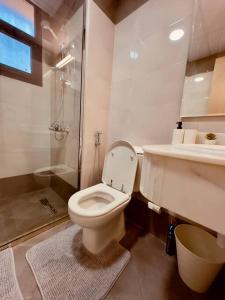 a bathroom with a toilet and a shower and a sink at Luxury waterview 2BD in Sharjah