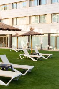 a group of lounge chairs and umbrellas on the grass at Daniya Alicante in Alicante