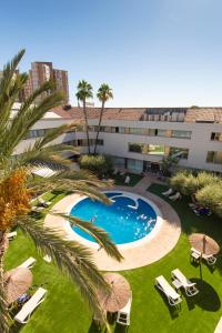 an overhead view of a pool with chairs and palm trees at Daniya Alicante in Alicante