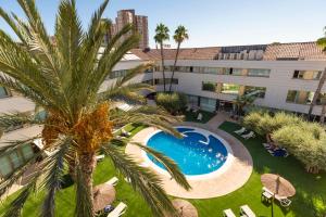 an aerial view of a hotel with a palm tree at Daniya Alicante in Alicante