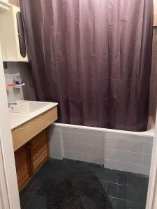 een badkamer met een wastafel en een douchegordijn bij Ruhige Wohnung in Schwechat nähe Flughafen in Schwechat