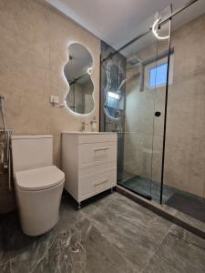 uma casa de banho com um WC e uma cabina de duche em vidro. em Family Apartment em Turnu Măgurele