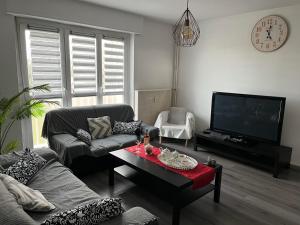 - un salon avec un canapé et une télévision dans l'établissement Travel homes spacieux et paisible parking privé, à Illzach