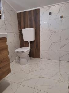 a white bathroom with a toilet and a shower at Apartment Ankica in Umag