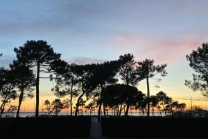 a group of trees with a sunset in the background at Résidence Escale Bleue in Andernos-les-Bains