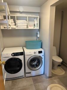 a washing machine and a washer in a bathroom at Sigtún 4 in Patreksfjörður