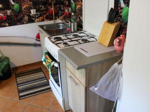 Cuina o zona de cuina de Apartment Parkowa-2 by Interhome