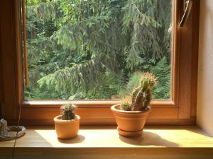 three potted plants sitting on a window sill at Holiday Home Wieliczka by Interhome in Wieliczka
