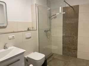 een badkamer met een douche, een toilet en een wastafel bij Apartment Kuhlmann by Interhome in Altefähr