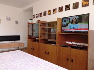 TV at/o entertainment center sa Villa Filip by Interhome