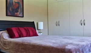a bedroom with a bed with a red pillow at Tucker's Self Catering Flatlet in Cape Town