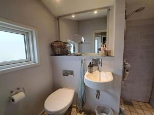 y baño con aseo, lavabo y espejo. en Holiday Home Sybille - all inclusive - 30km from the sea by Interhome, en Fårvang