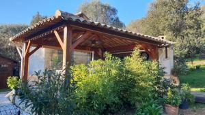 a wooden pergola in a garden with plants at A VIGNA VECCHIA chambre d'hôtes in Porto-Vecchio