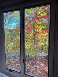 a window with a view of autumn leaves outside at Black Bear Lodge in Basye
