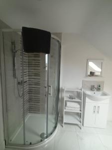 ein Bad mit einer Dusche und einem Waschbecken in der Unterkunft Birdhill Farmhouse in Tipperary