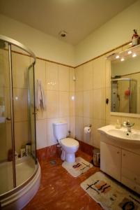 a bathroom with a toilet and a shower and a sink at Villa Sofia in Samos +49 photos